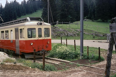 CJ Muriaux, Stacheldrahtteppich, 1963