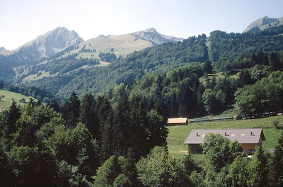 MOB Montbovon-Les Sciernes, 1993