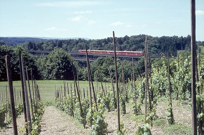 SBB, Thurbrücke bei Ossingen, Roter Pfeil vierteilig RABDe 8/16 1041 “Tatzelwurm“, Aufnahme 1965